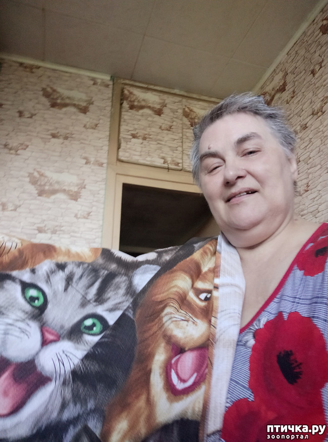 ���� 6: ������� �� �����