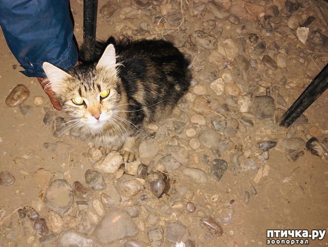 ���� 11: ��������� �������� ���������