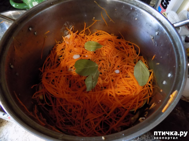 ���� 5: ������ ��������. ��������� ��-��������