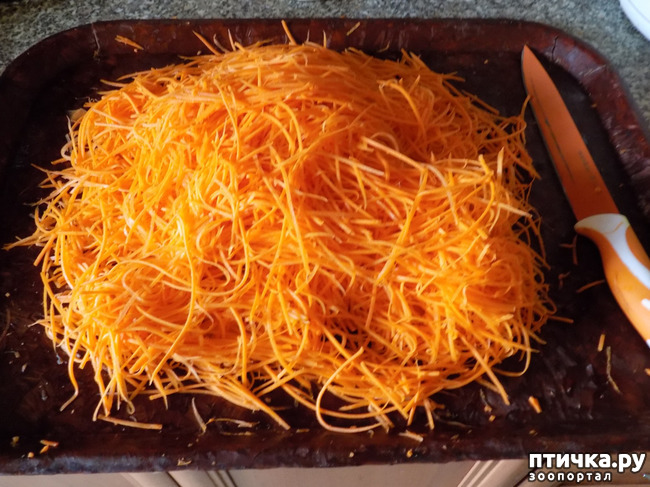 ���� 4: ������ ��������. ��������� ��-��������