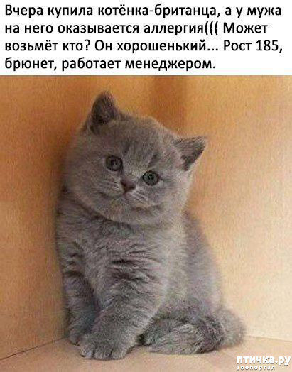 ���� 2: �����������! ��������