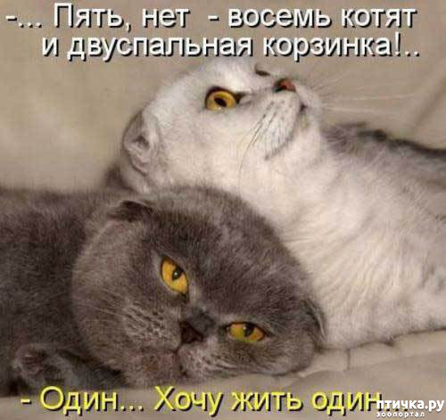 ���� 3: �����������! ��������