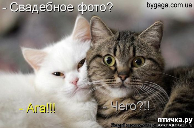 ���� 4: �����������! ��������