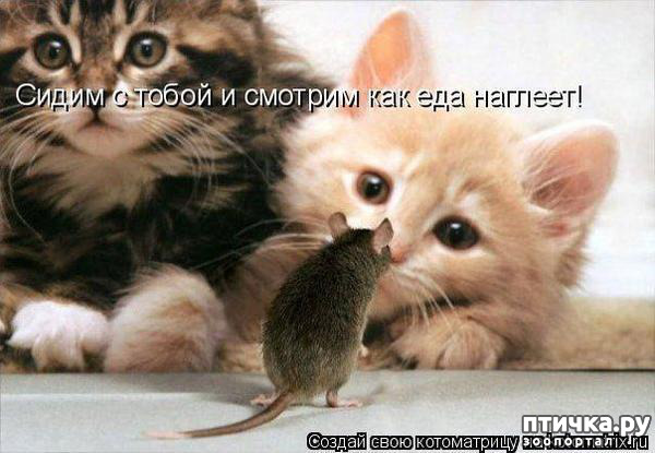 ���� 5: �����������! ��������