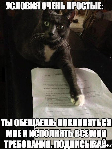 ���� 7: �����������! ��������