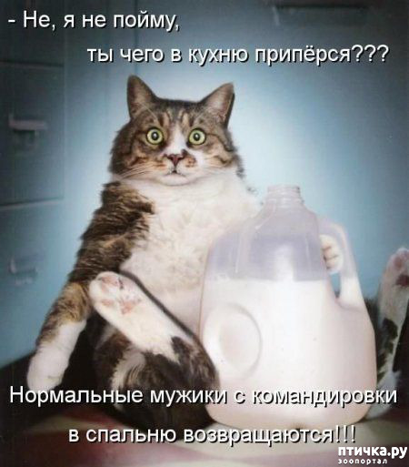 ���� 8: �����������! ��������