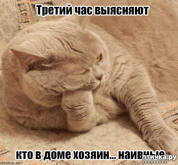 ���� 6: �����������! ��������