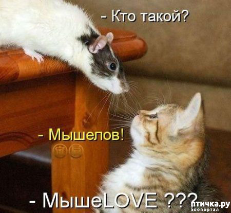 ���� 12: �����������! ��������