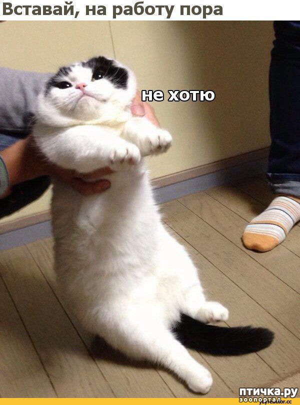 ���� 14: �����������! ��������