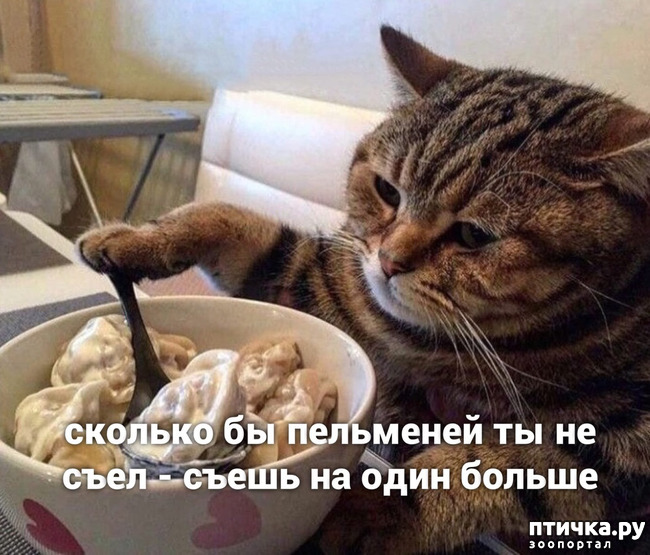 ���� 9: �����������! ��������