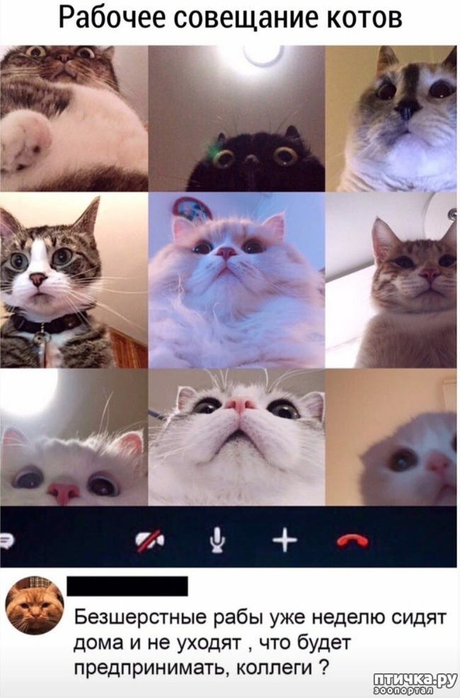 ���� 16: �����������! ��������