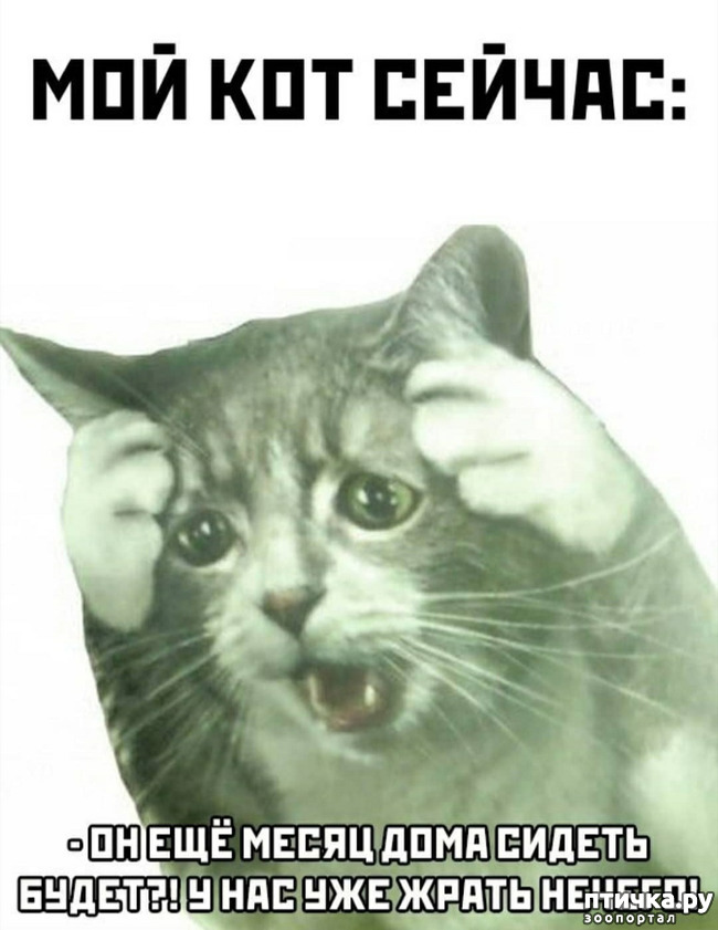 ���� 18: �����������! ��������