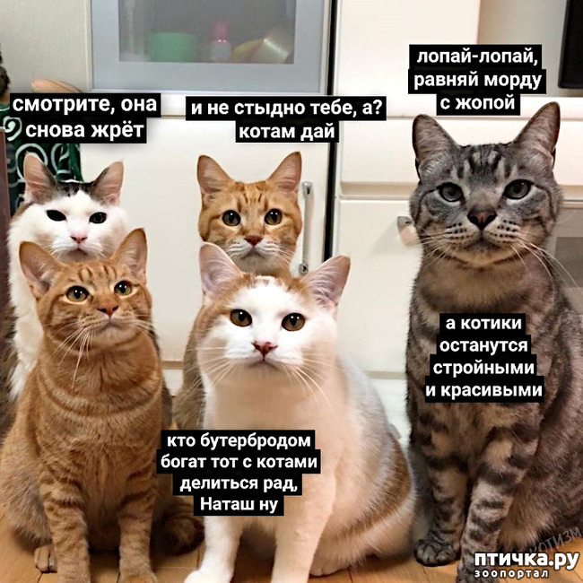 ���� 19: �����������! ��������