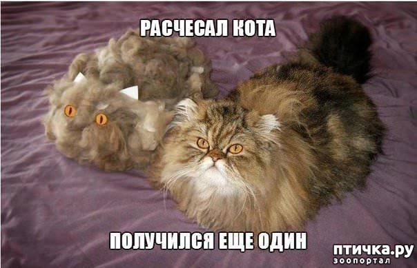 ���� 23: �����������! ��������