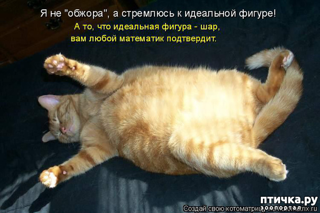 ���� 24: �����������! ��������