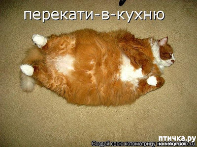 ���� 38: �����������! ��������