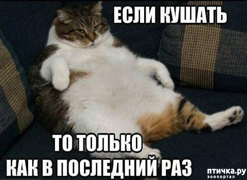 ���� 29: �����������! ��������