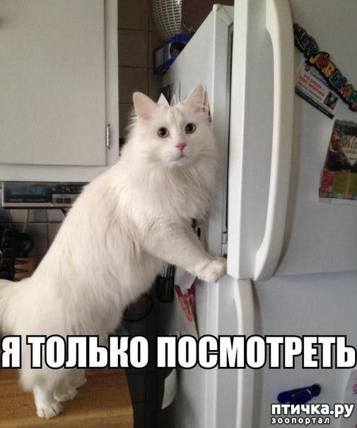 ���� 30: �����������! ��������