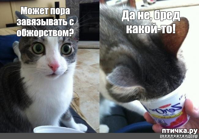 ���� 27: �����������! ��������