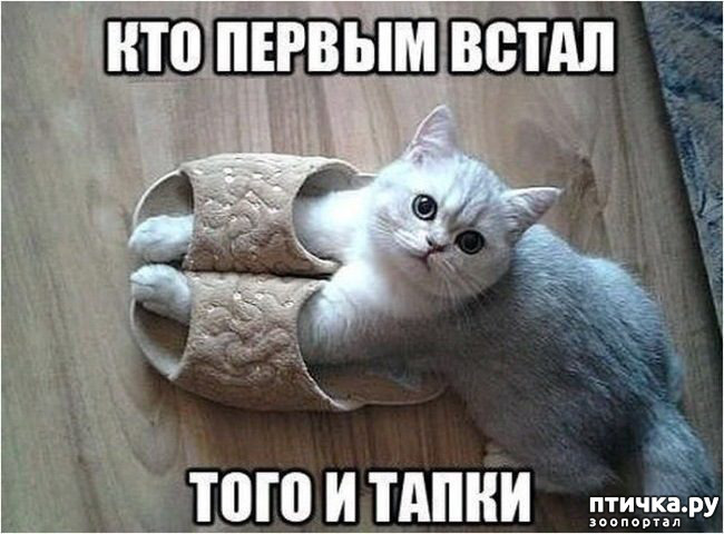 ���� 25: �����������! ��������