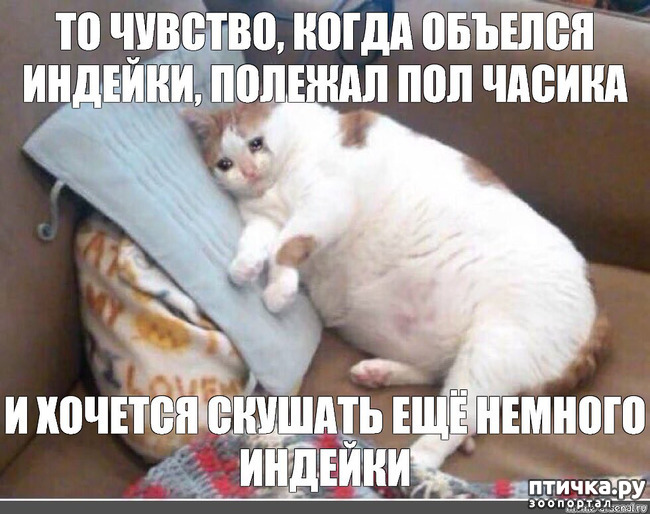 ���� 28: �����������! ��������