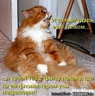 ���� 34: �����������! ��������