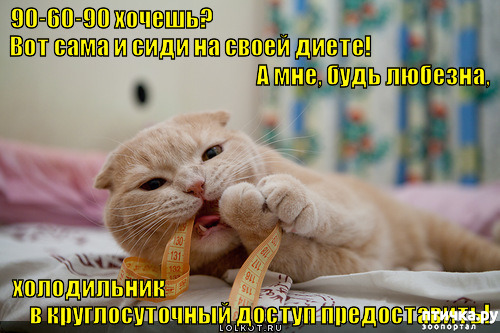 ���� 35: �����������! ��������