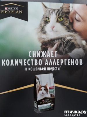 ����: ��� ��� �� ������ �������� �� �����