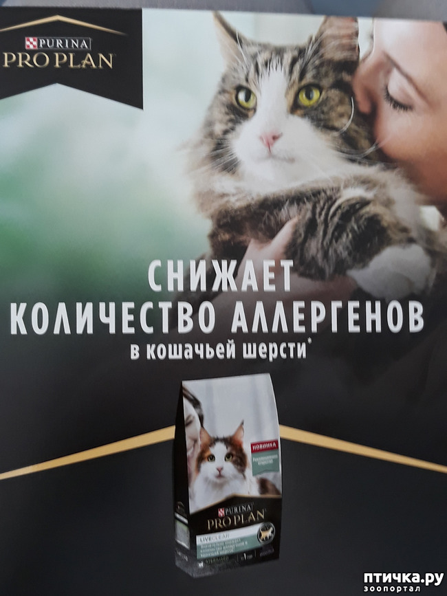 ���� 1: ��� ��� �� ������ �������� �� �����