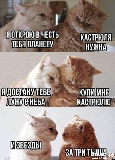 ���� 1: ������� �����