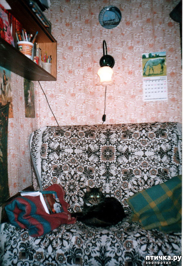 ���� 1: ������ ����