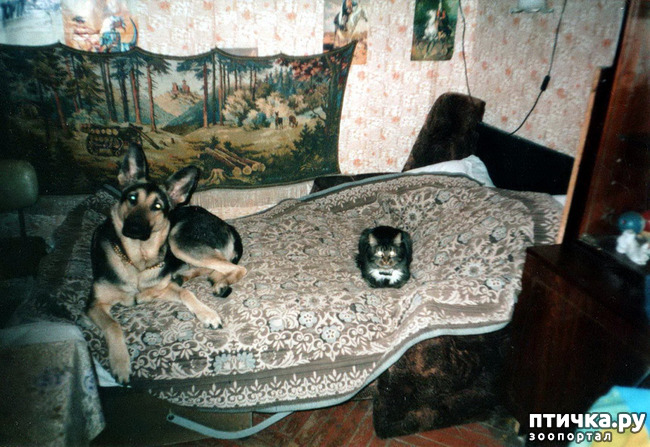 ���� 2: ������ ����