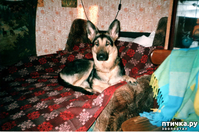 ���� 3: ������ ����