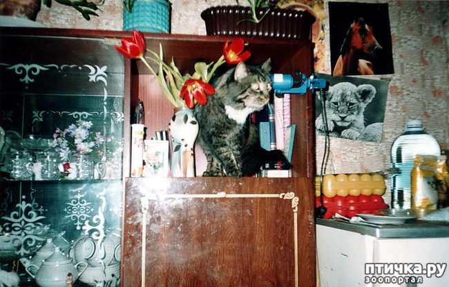 ���� 4: ������ ����