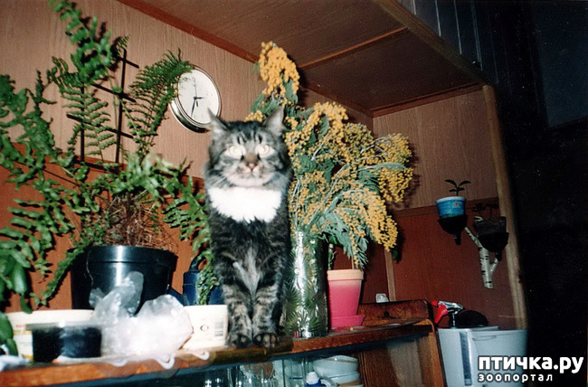 ���� 5: ������ ����