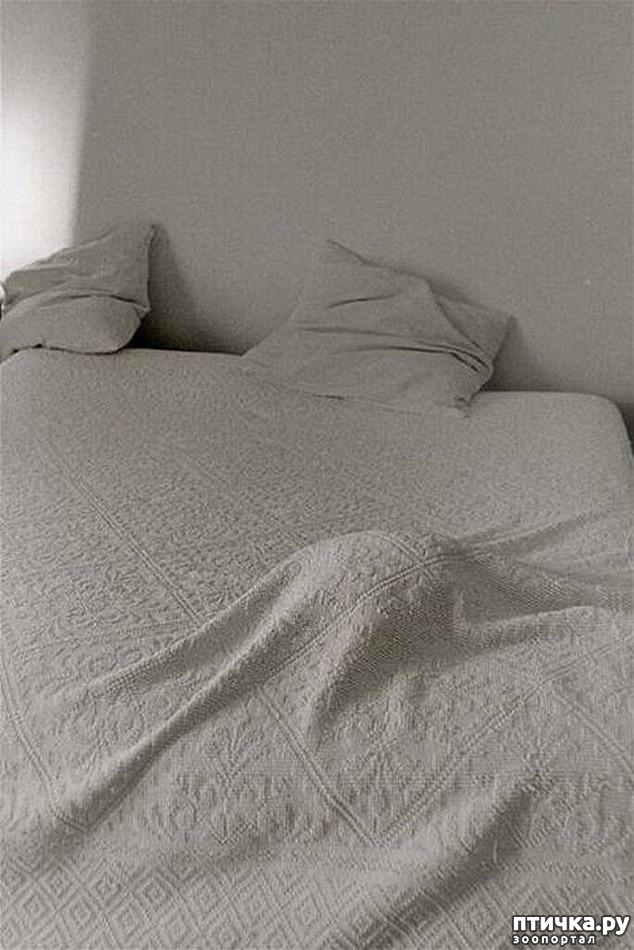 ���� 6: ����������� �� �������������, ���� ��� � �������. ���-���-���-������-���� � ���� ��� ������