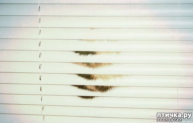 ���� 10: ����������� �� �������������, ���� ��� � �������. ���-���-���-������-���� � ���� ��� ������