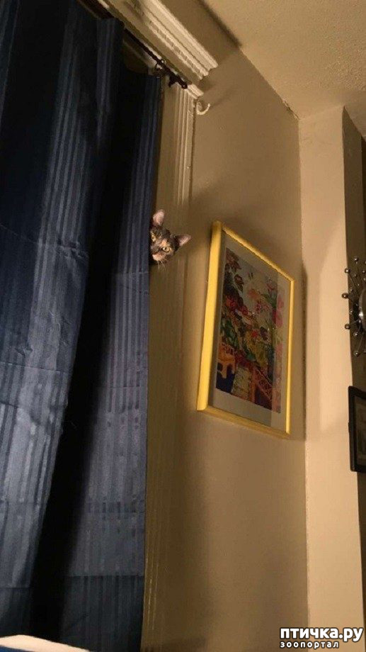 ���� 12: ����������� �� �������������, ���� ��� � �������. ���-���-���-������-���� � ���� ��� ������