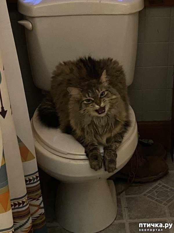 ���� 18: ����������� �� �������������, ���� ��� � �������. ���-���-���-������-���� � ���� ��� ������