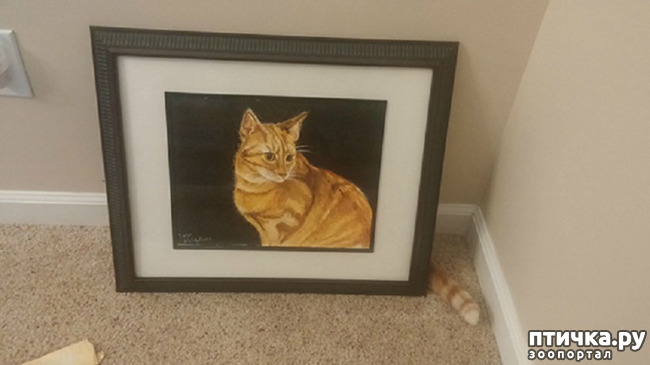 ���� 19: ����������� �� �������������, ���� ��� � �������. ���-���-���-������-���� � ���� ��� ������