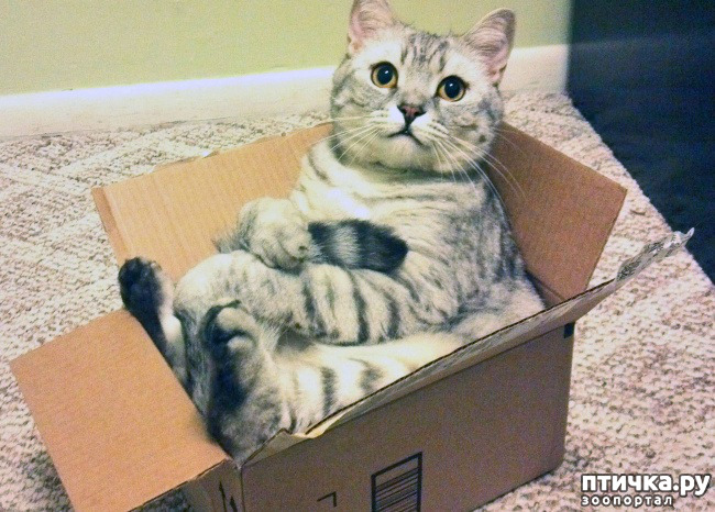 ���� 24: ����������� �� �������������, ���� ��� � �������. ���-���-���-������-���� � ���� ��� ������