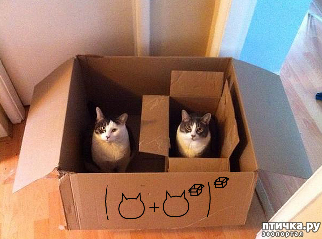 ���� 25: ����������� �� �������������, ���� ��� � �������. ���-���-���-������-���� � ���� ��� ������