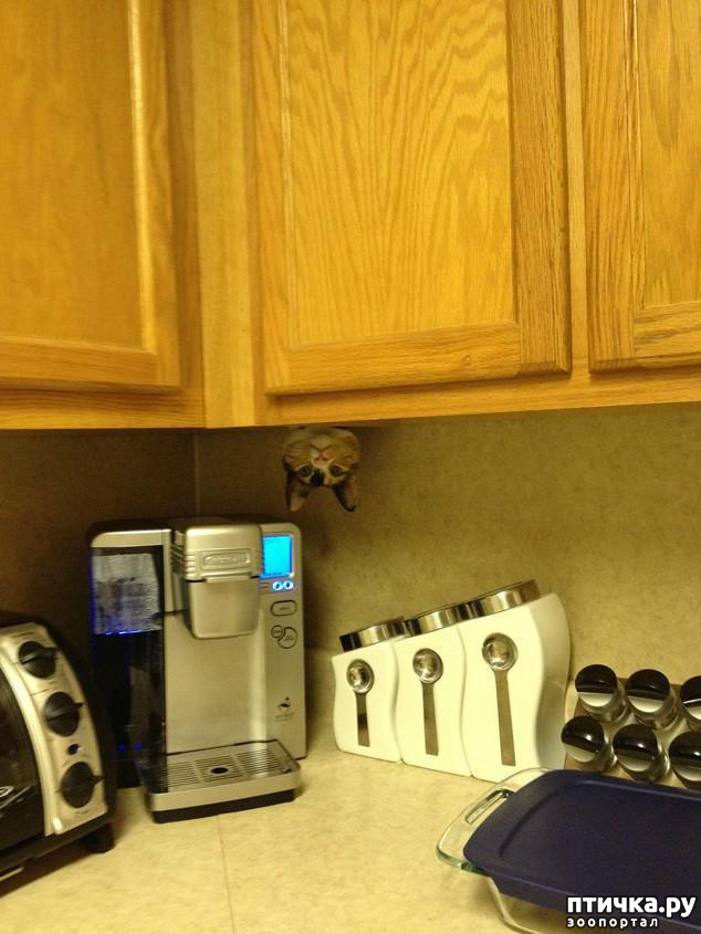 ���� 29: ����������� �� �������������, ���� ��� � �������. ���-���-���-������-���� � ���� ��� ������