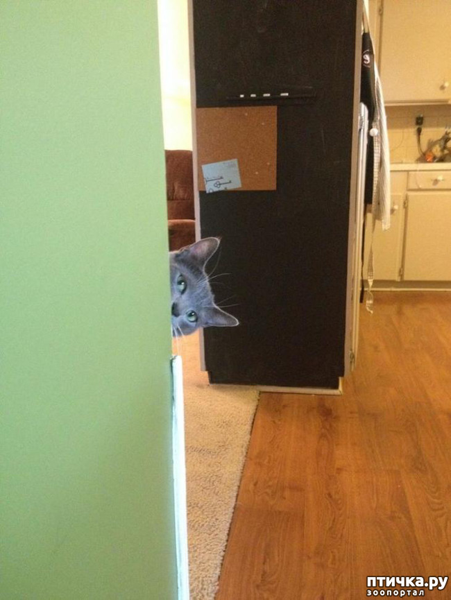 ���� 30: ����������� �� �������������, ���� ��� � �������. ���-���-���-������-���� � ���� ��� ������