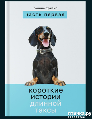 ����: ������ ������ "�������� ������� ������� �����"