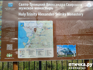 ����: �� ���� � �������.