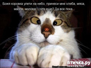 ����: ������� �����