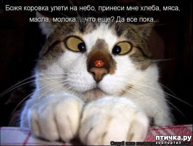 ���� 1: ������� �����