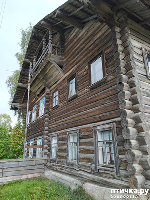 ����: ��������