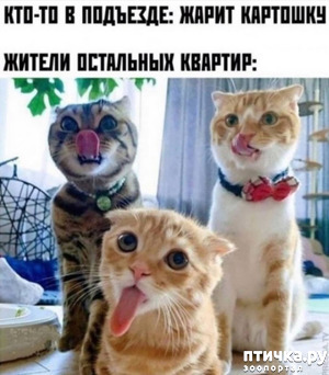 ����: ������� �����